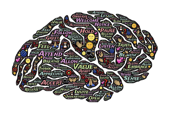 Image for Brains and Machine Intelligence, A Long Time Coming